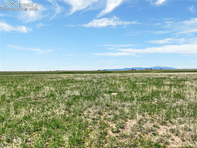 7850 N Ellicott Highway