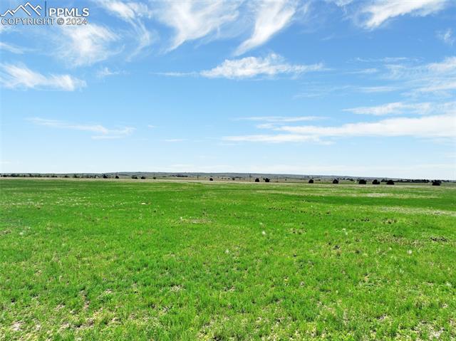 7850 N Ellicott Highway