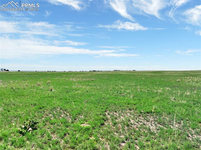 7850 N Ellicott Highway