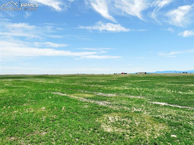 7850 N Ellicott Highway