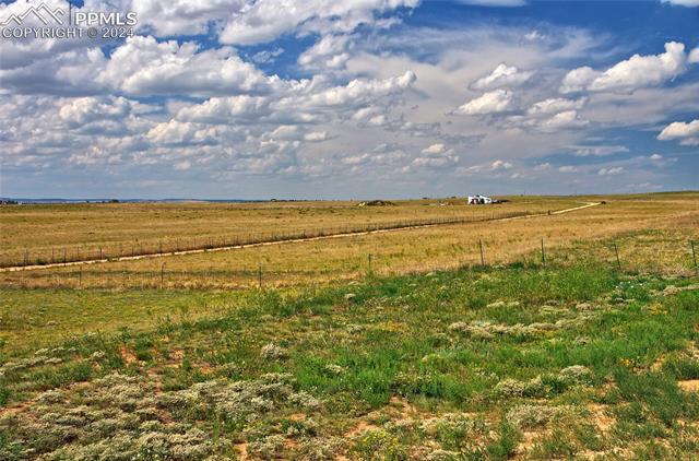 26230 Falcon Highway