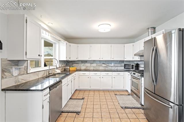 2685 Lone Feather Drive