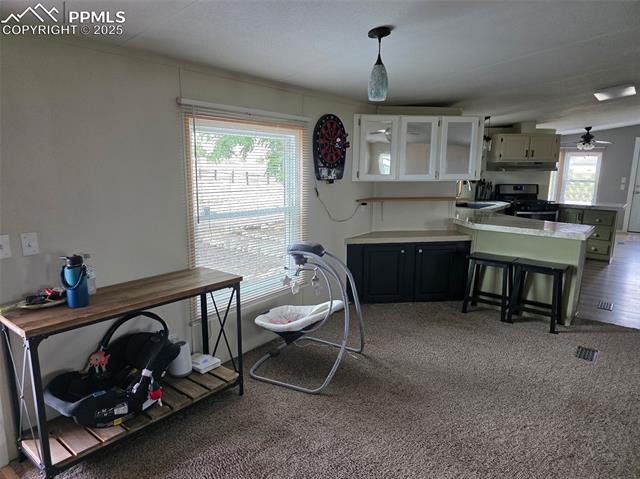 8831 Avenida Hermosa View