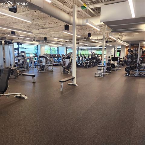 1125 Lindstrom Drive