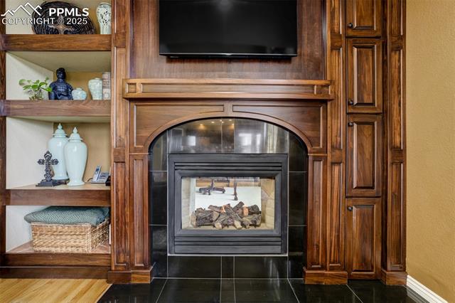 1445 Almagre Peak Drive