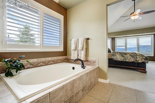 1445 Almagre Peak Drive