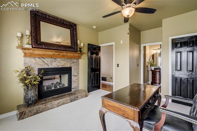 1445 Almagre Peak Drive