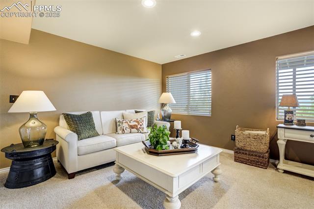 1445 Almagre Peak Drive