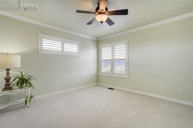 1445 Almagre Peak Drive