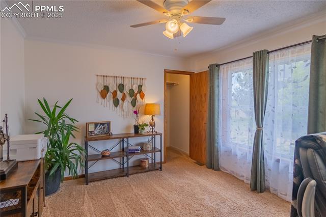 17380 Barnwood Drive