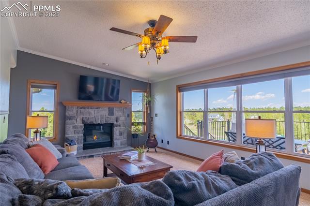 17380 Barnwood Drive