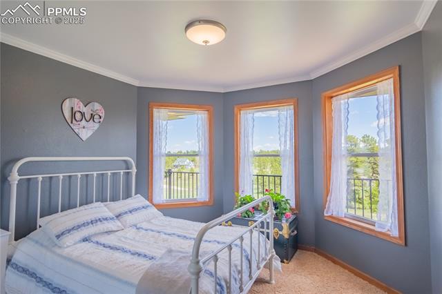 17380 Barnwood Drive