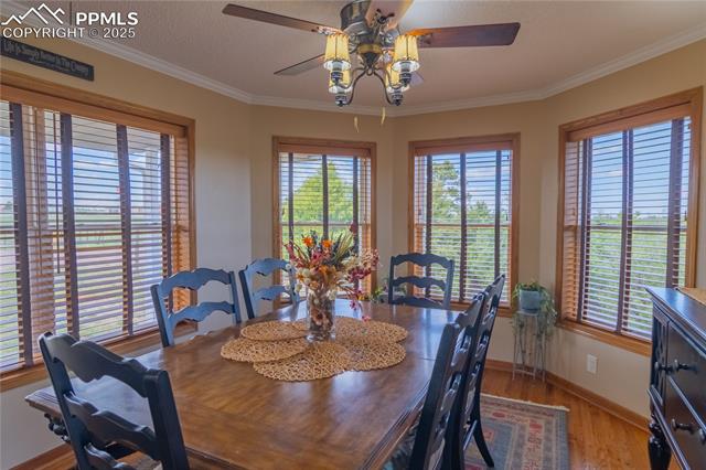 17380 Barnwood Drive