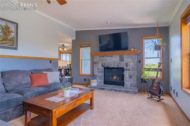 17380 Barnwood Drive