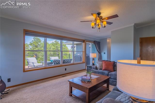 17380 Barnwood Drive