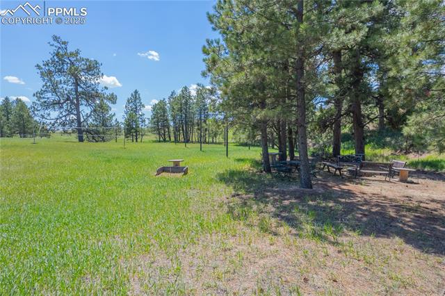 17380 Barnwood Drive