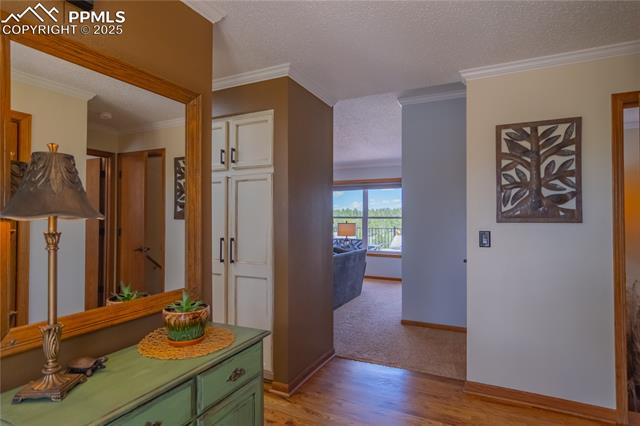 17380 Barnwood Drive