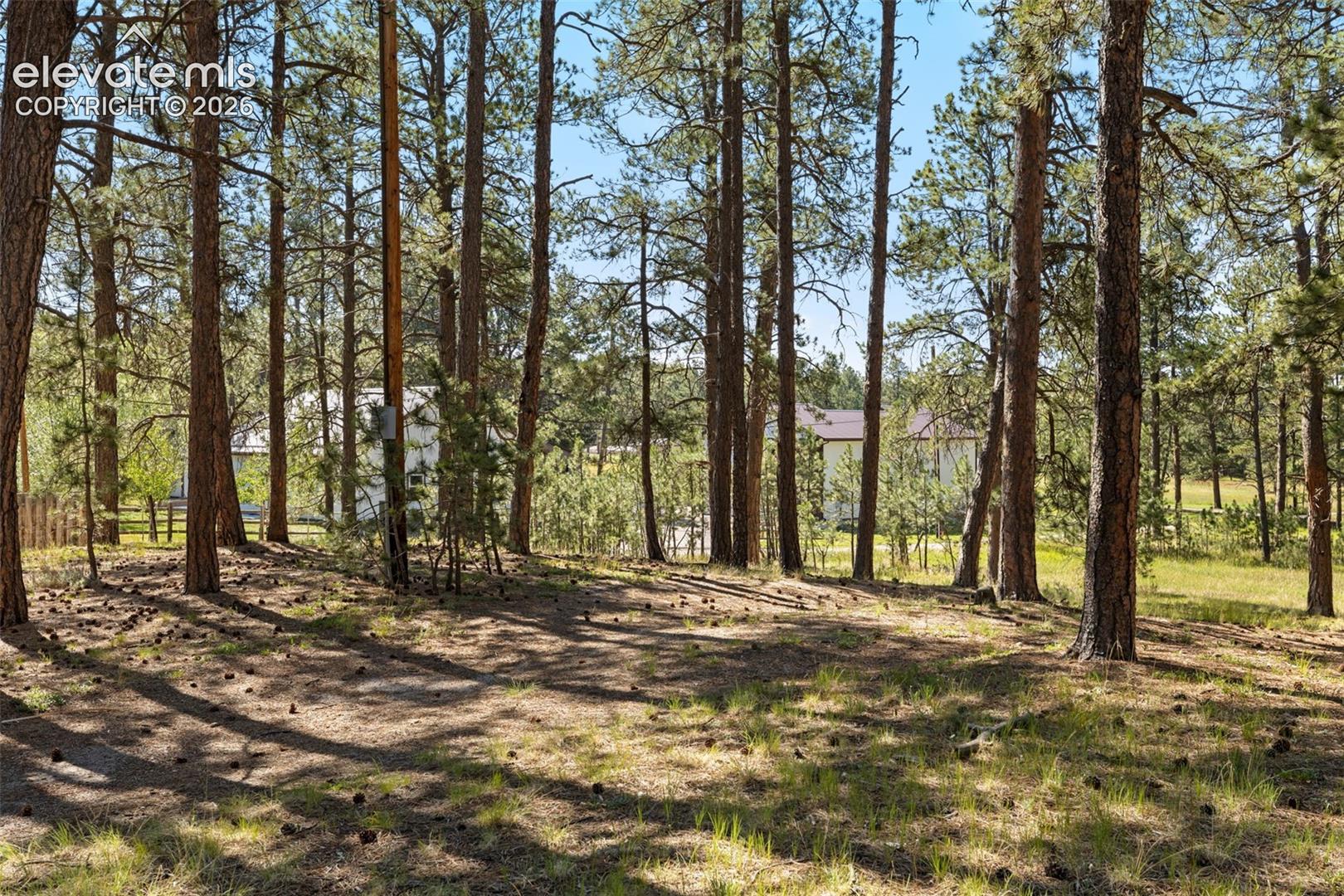 7005 Shoup Road