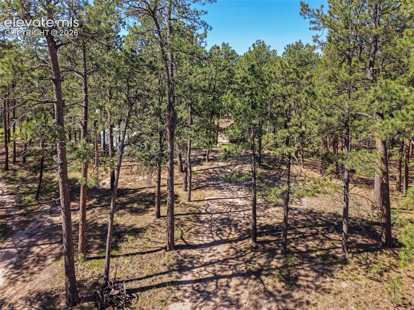 7005 Shoup Road