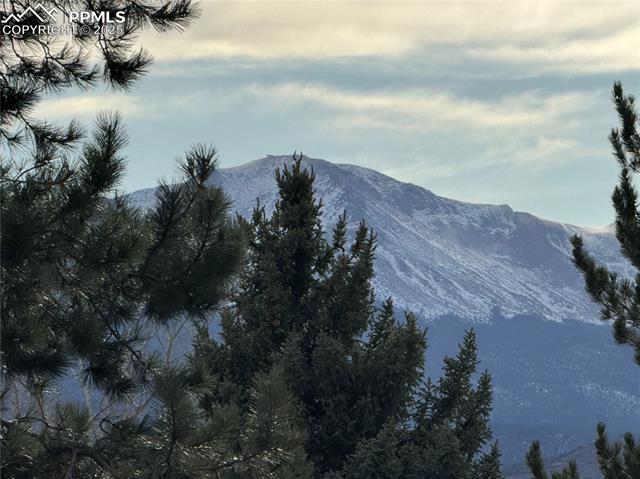 866 N Pulpit Rock Circle