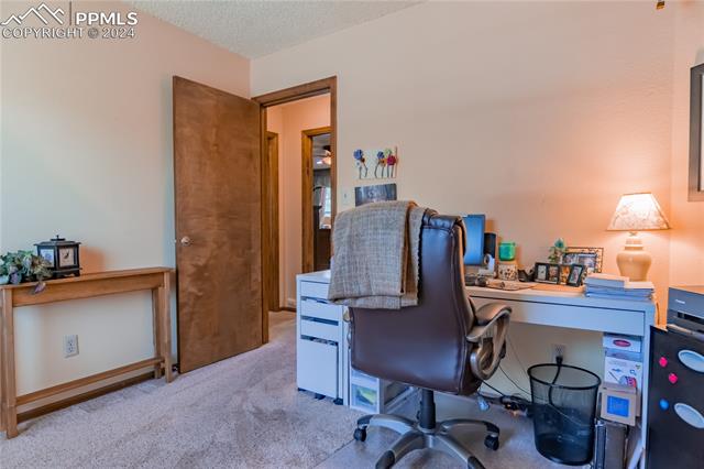 1919 Forest Ridge Drive