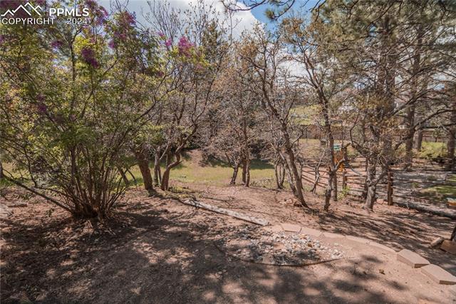 1919 Forest Ridge Drive