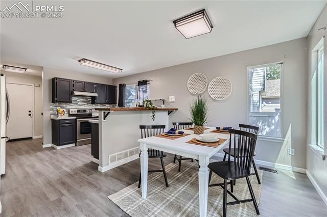 9217 Chieftan Drive