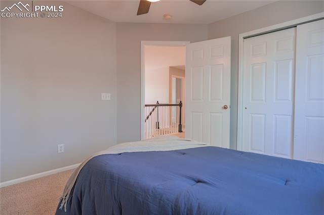 9051 Musgrave Street