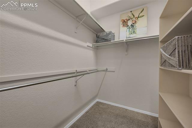 4342 Susie View