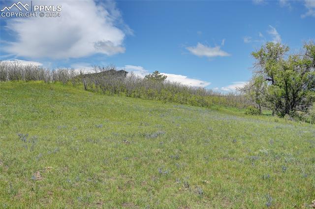 13880 Eastonville Road