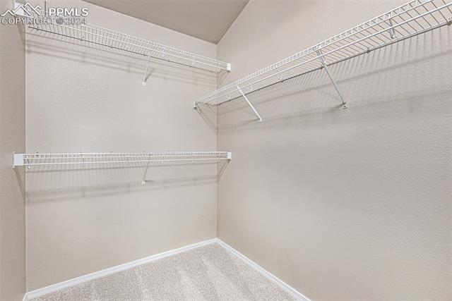 17100 Park Trail Drive