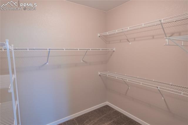 16857 Roaming Elk Drive