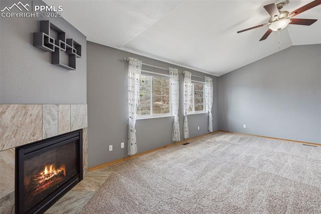 2541 Hot Springs Court