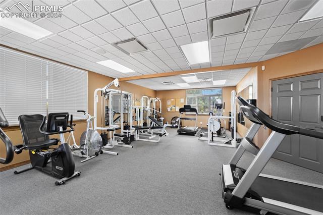 7727 Grizzly Bear Point