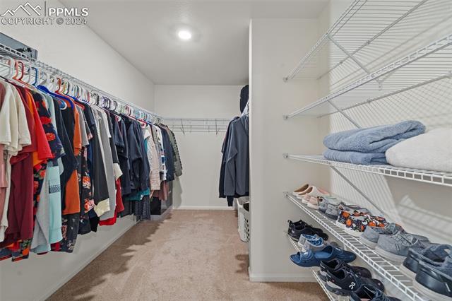 6335 Carriage Meadows Drive