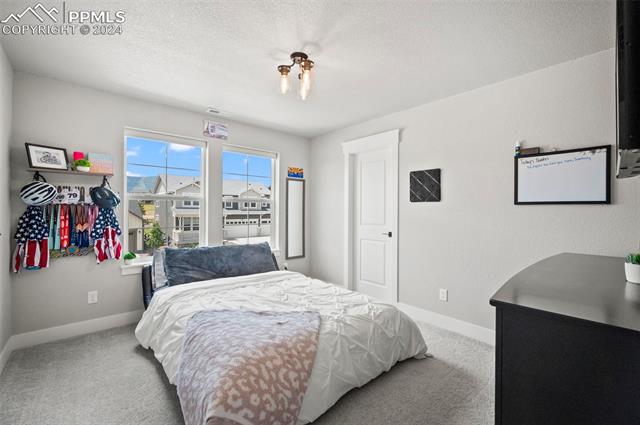 15553 Native Willow Drive