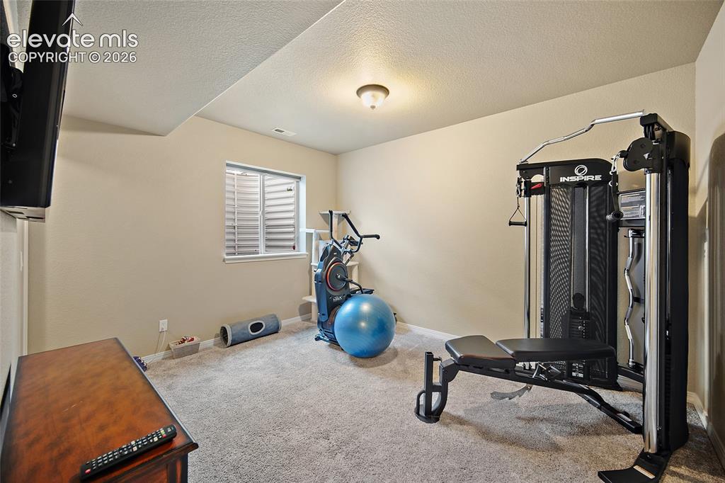 13296 Cedarville Way