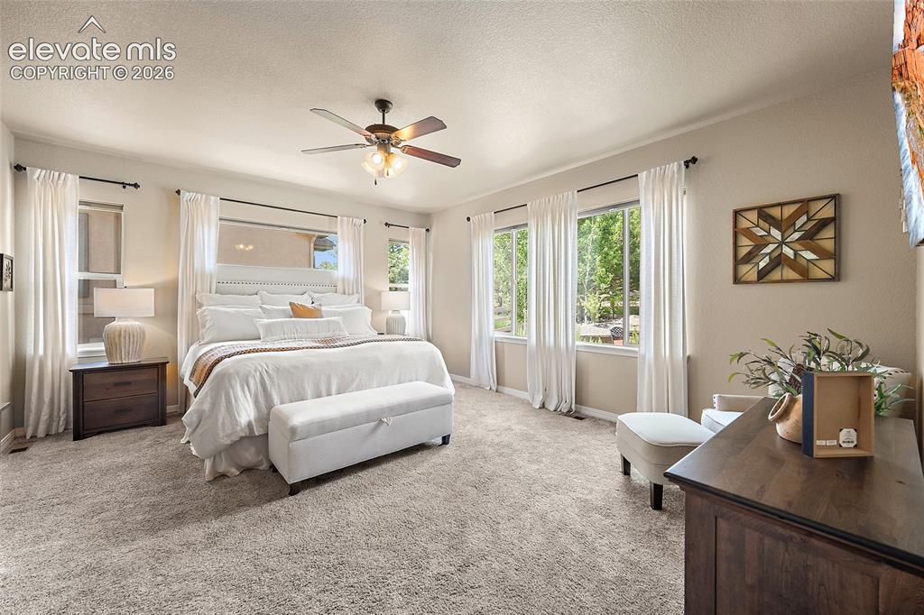 13296 Cedarville Way