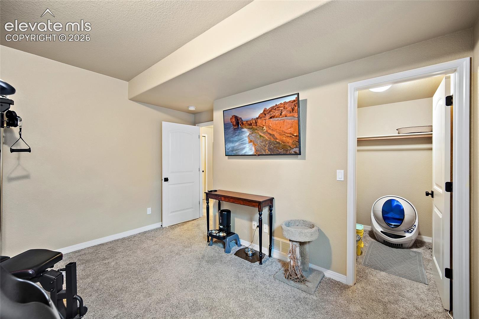 13296 Cedarville Way