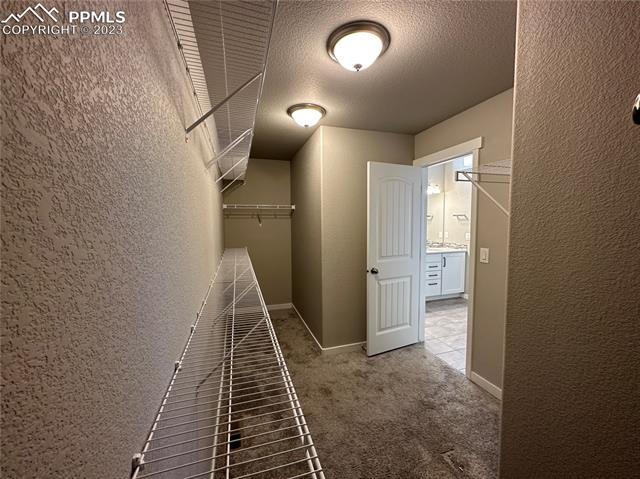 7119 Fauna Glen Drive