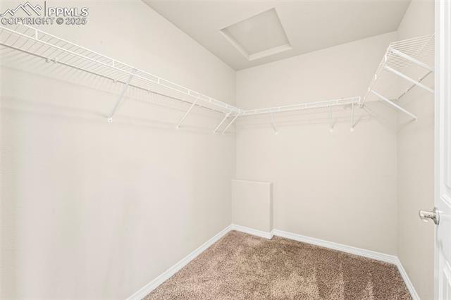 6119 Mumford Drive