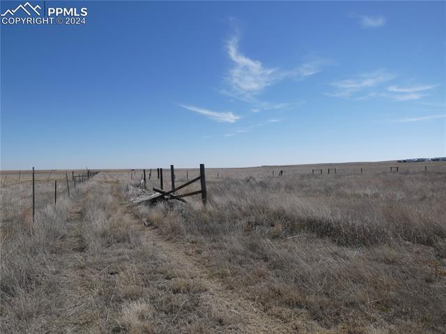 11701 County Road 137