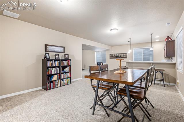 10823 Torreys Peak Way