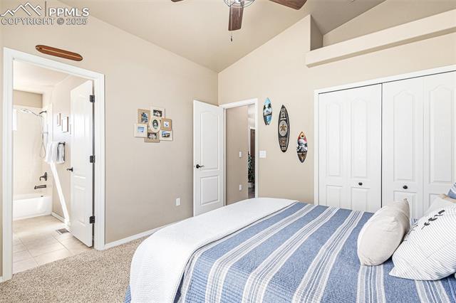 10823 Torreys Peak Way