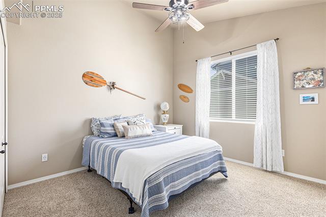 10823 Torreys Peak Way