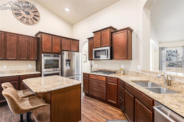 10823 Torreys Peak Way