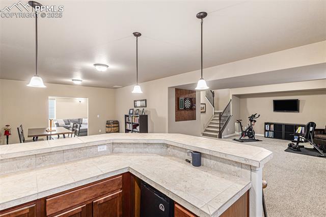 10823 Torreys Peak Way