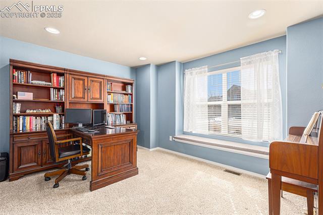 10823 Torreys Peak Way