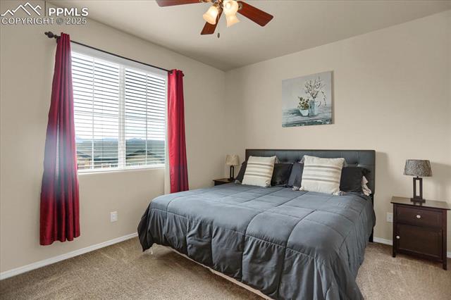 6323 Cedar Park Grove