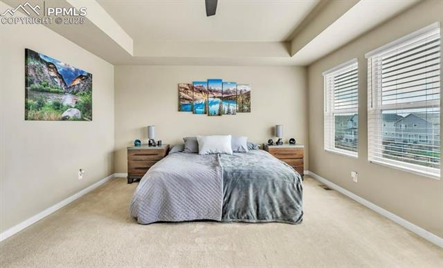 13607 Evening Sky Drive